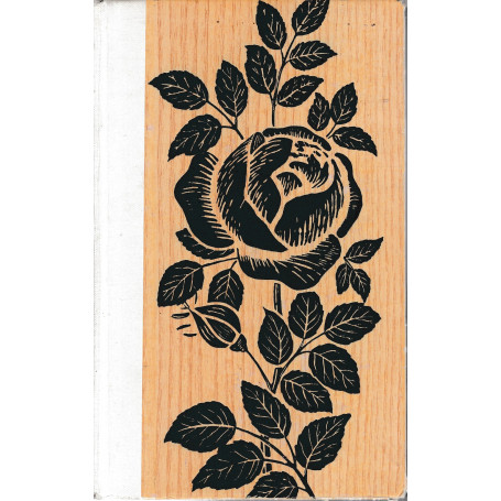 Il giardinaggio per tutti.