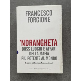 'Ndrangheta. Boss luoghi e affari della mafia più potente al mondo.