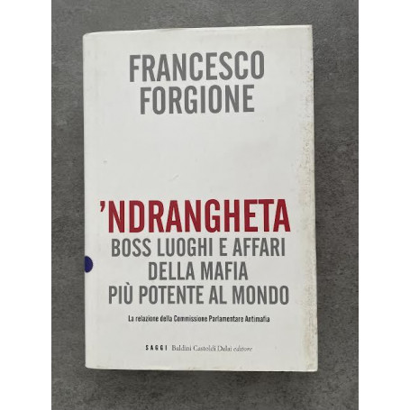 'Ndrangheta. Boss luoghi e affari della mafia più potente al mondo.
