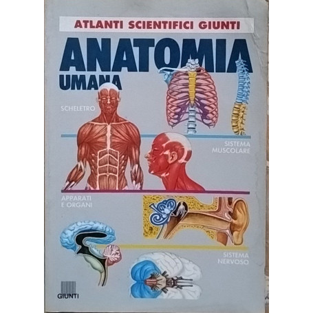 Anatomia umana