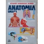 Anatomia umana
