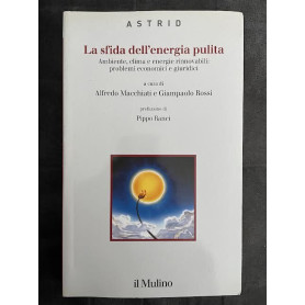 La sfida dell'energia pulita. Ambiente clima e energie rinnovabili: problemi economici e giuridici