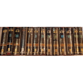 Dizionario delle opere e dei personaggi - Dizionario degli autori (13 volumi)