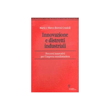 Innovazione e distretti industriali. Percorsi innovativi per l'impresa manifatturiera