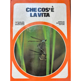 Il Club delle Giovani Marmotte. Che cos'è la vita.