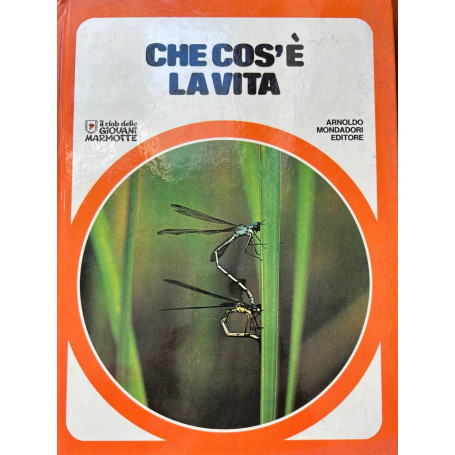 Il Club delle Giovani Marmotte. Che cos'è la vita.