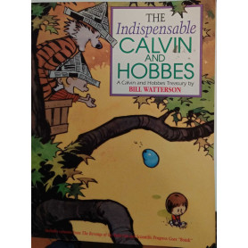 The indispensable Calvin and Hobbes.