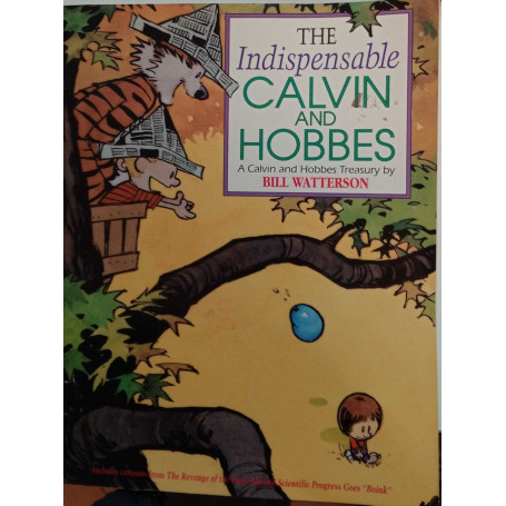 The indispensable Calvin and Hobbes.