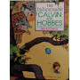 The indispensable Calvin and Hobbes.