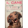Il cane