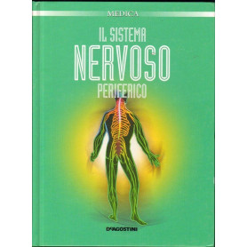 Il sistema nervoso periferico