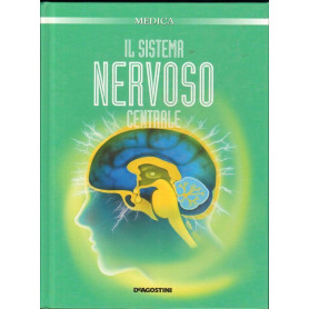 Il sistema nervoso centrale.