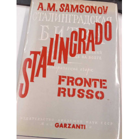 Stalingrado: fronte russo