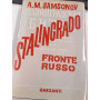 Stalingrado: fronte russo