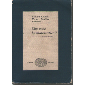 Che cos'è la matematica?