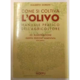 Come si coltiva l'olivo