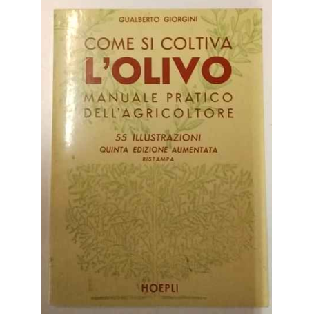 Come si coltiva l'olivo