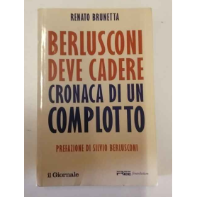 Berlusconi deve cadere. Cronaca di un complotto.