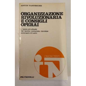 Organizzazione rivoluzionaria e consigli operai