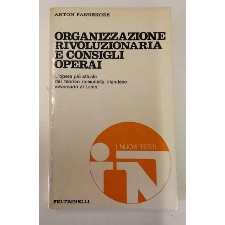 Organizzazione rivoluzionaria e consigli operai