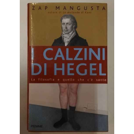 I calzini di Hegel. La filosofia e quello che c'è sotto