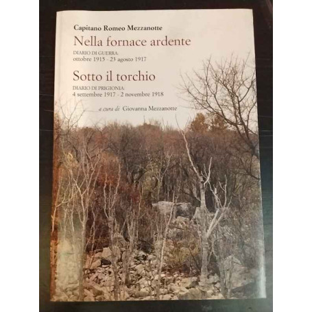 Nella fornace ardente: Diario di guerra. Sotto il torchio: Diario di prigionia.