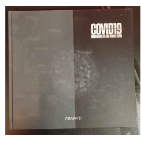 Covid-19. Immagini da un anno buio. Ediz. italiana e inglese