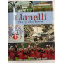 Llanelli: The Story of a Town