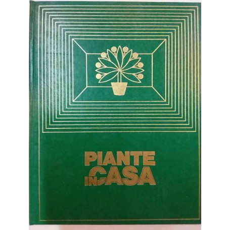 Piante in Casa