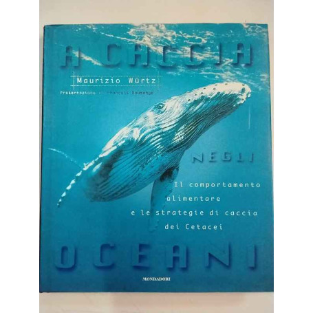 A caccia negli oceani