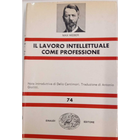 Il lavoro intellettuale come professione