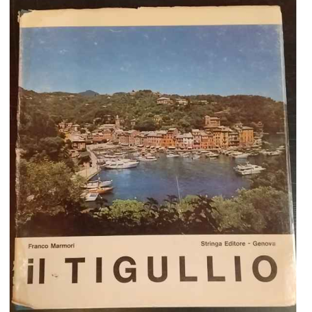 Il Tigullio