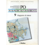 Po acquagricolturambiente. Vol. 9: Rapporto di sintesi.