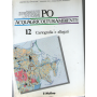 Po acquagricolturambiente. Vol. 11 e 12: Indici. Cartografia e allegati.