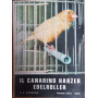 Il Canarino Harzer Edelroller