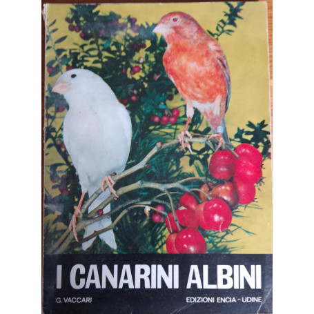 I canarini albini