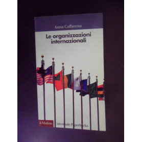 Le organizzazioni internazionali