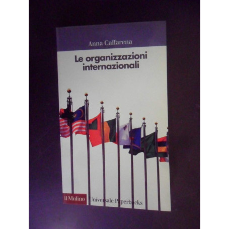Le organizzazioni internazionali