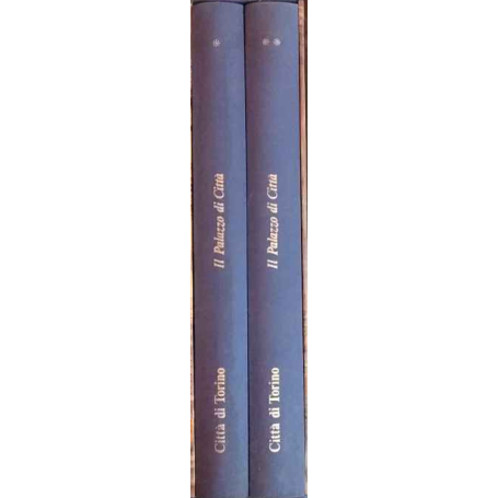 Il palazzo di città a Torino. Due volumi