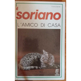 Il soriano. L'amico di casa