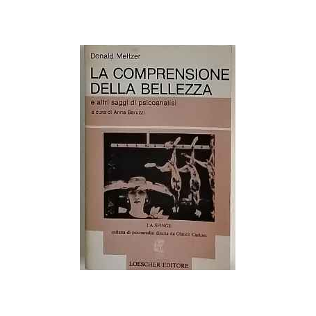 La comprensione della bellezza e altri saggi di psicoanalisi