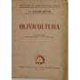 Olivicoltura