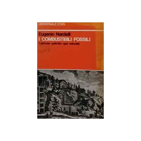 I combustibili fossili : carbone petrolio gas naturale