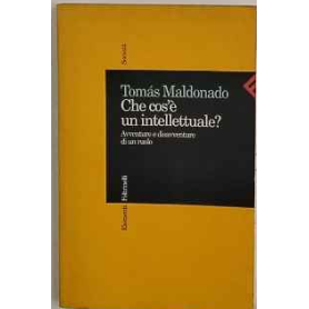 Che cos'è un intellettuale? Avventure e disavventure di un ruolo
