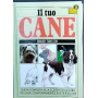 Il tuo cane