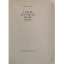 Storia dei popoli arabi: da Maometto ai nostri giorni