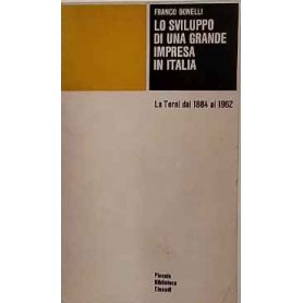 Lo sviluppo di una grande impresa in Italia. La Terni dal 1884 al 1962