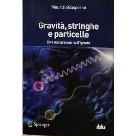 Gravità stringhe e particelle. Una escursione nell'ignoto