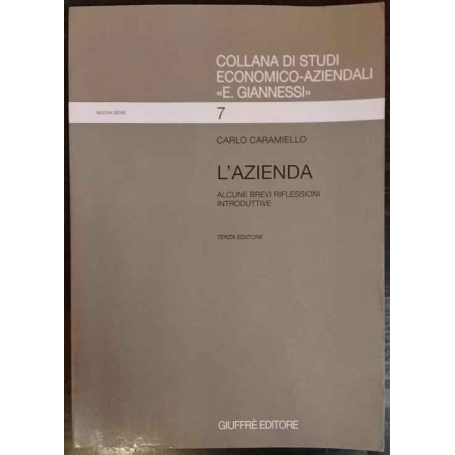 L'azienda. Alcune brevi riflessioni introduttive.