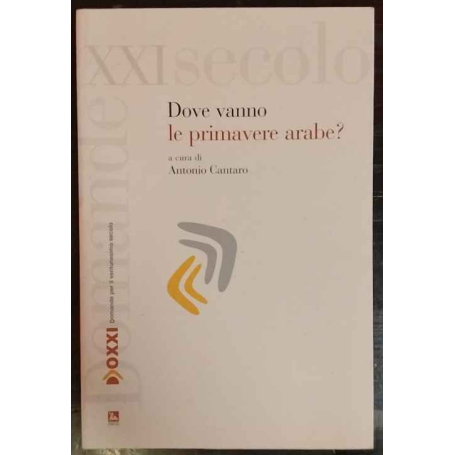 Dove vanno le primavere arabe?